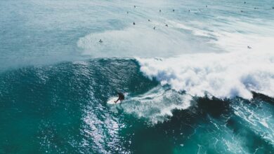 Places You Should Visit in 2026 - Fuerteventura