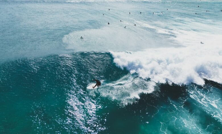 Places You Should Visit in 2026 - Fuerteventura