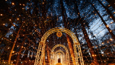 Santas Secret Forest 2026 Tickets On Sale Now as Magical Christmas Experience Returns With New Attractions