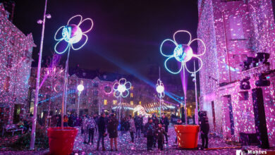 River of Light 2026 Flower Power Spectaculaires Allumeurs dimages