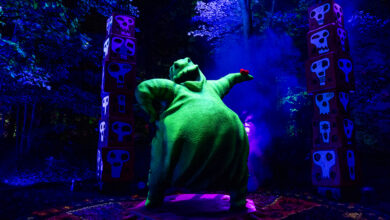 The Nightmare Before Christmas Light Trail Photo Credit Avery Brunkus 1