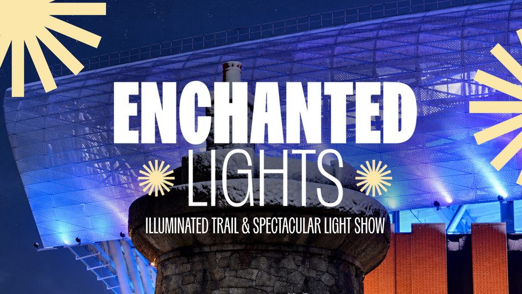 Everton FC Christmas Enchanted Lights