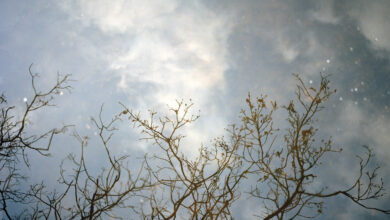 Fractured Landscapes at Open Eye Gallery Image by Jaskirt Dhaliwal Boora
