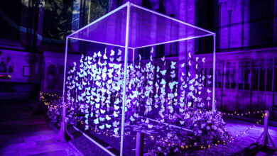 Liverpool Cathedral Christmas Light Show Returns With Brand New Installation Salisbury Cathedral Heaven on Earth son et lumiere Luxmuralis butterfly effect